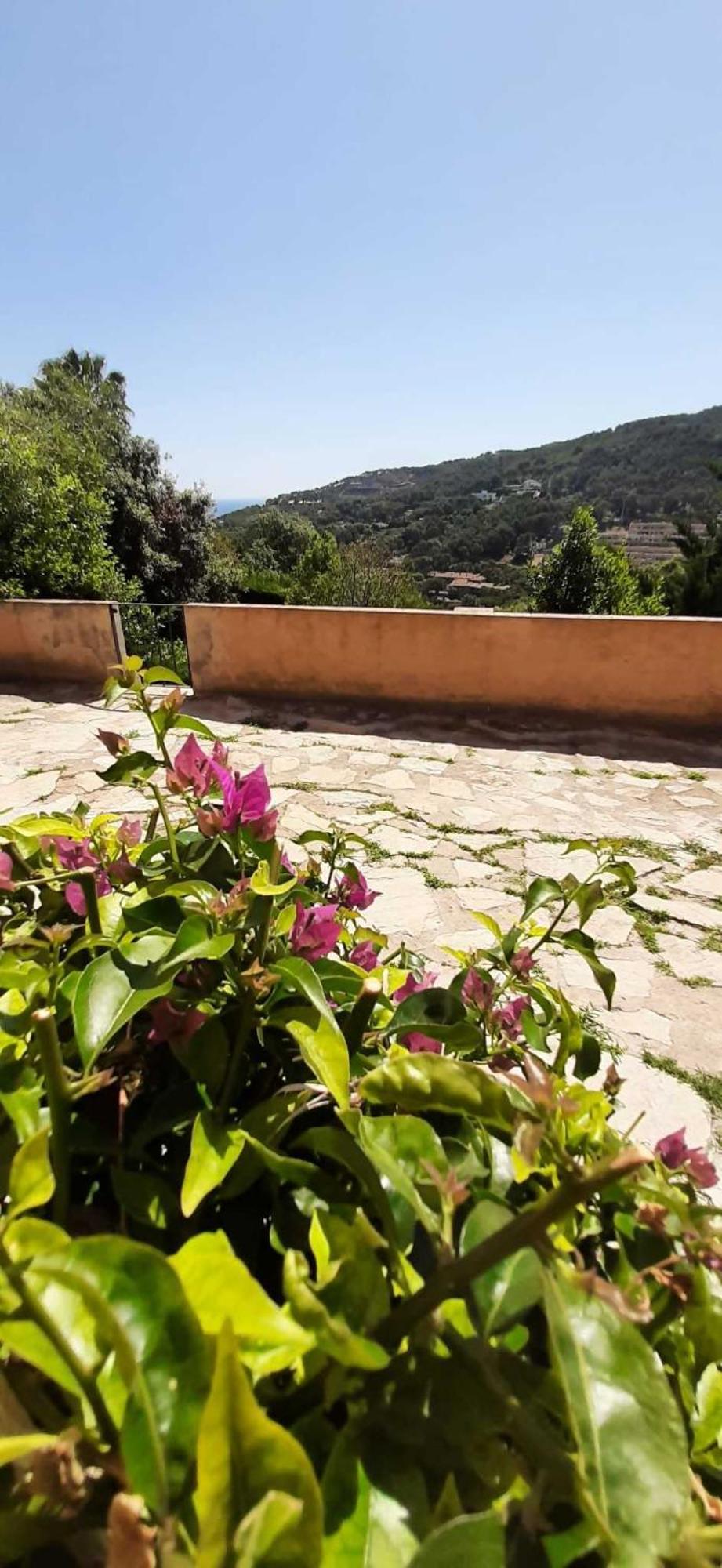 Corti Mori Sa Riera Vistas Mediterraneas 巴古尔 外观 照片